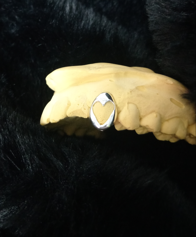 Custom heart window grillz